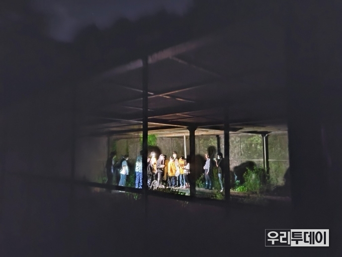 반딧불이 야간체험 (사진제공=강원도)