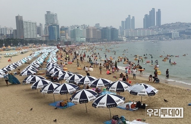 해안가 불법행위를 수사한다. 이해성이미지
