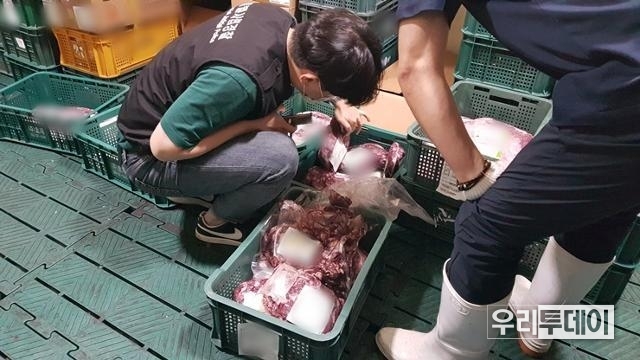 경기 특별사법경찰들이 지난 5월 식당 위생 단속을 나가 식재료의 유통기한을 확인하고 있다. (사진제공=경기도 )