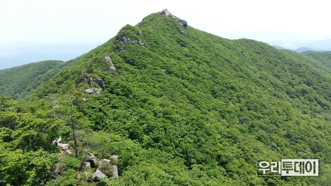  신선대에서 바라본 백운산(1,222m)정상. (염진학 기자 촬영)