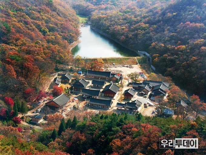 단계적 일상회복- 영광 불갑사
