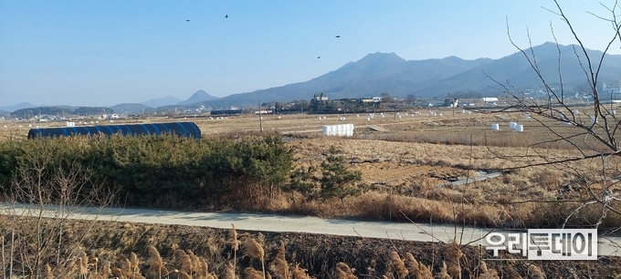 강화군 화도면 외포리 해안도로 초입에 인근에는 논 농사를 마친것으로 보이는데 유독 소나무가 무성한 이상한 땅이 있다.