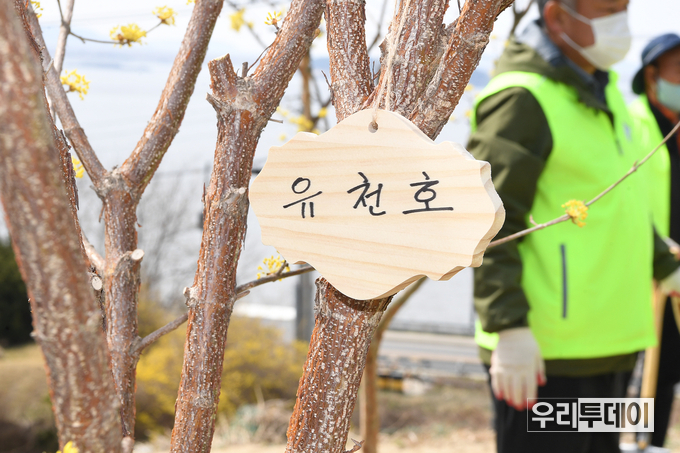 강화군청에서 보내온 보도자료에 첨부된 사진이다(사진제공 : 강화군)