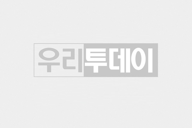 더불어민주당, '피고인 대통령 당선시 재판중지' 형소법 개정 추진 논란