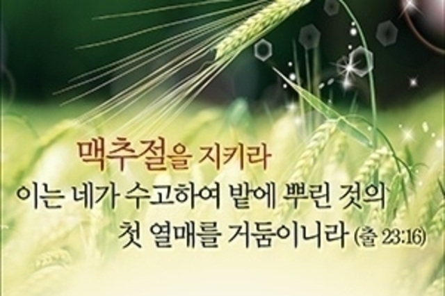 시온선교세계교회, “맥추절을 지키라 이는 네가 수고하여 밭에 뿌린 것의 첫 열매를 거둠이니라”(출 23:16)