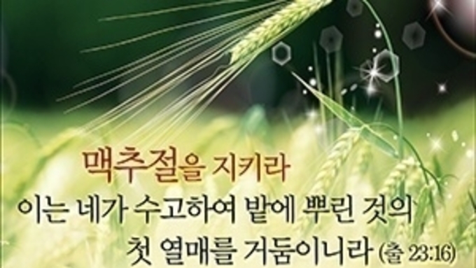 시온선교세계교회, “맥추절을 지키라 이는 네가 수고하여 밭에 뿌린 것의 첫 열매를 거둠이니라”(출 23:16)
