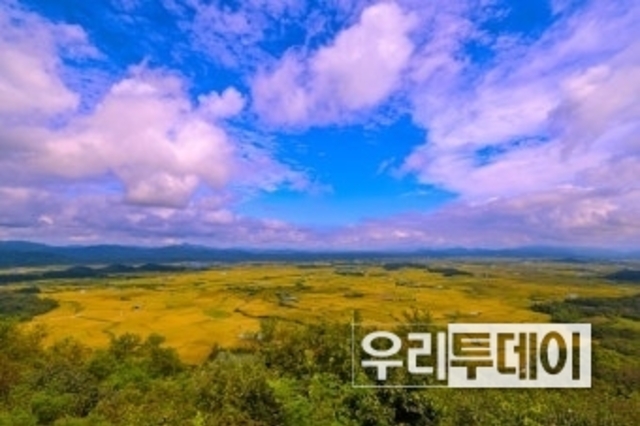 철사포